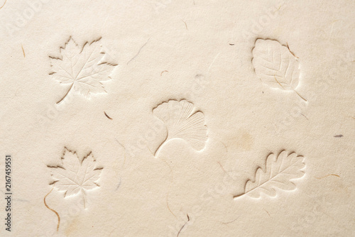 Texture with Botanical Leaves and Vintage Paper Background for Elegant Autumn Design