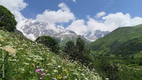 Breathtaking landscape of Shkhara glacier in Svaneti region Georgia, snow-covered mountain peaks with wild flowers on a green hillside in the foreground, alpine nature travel concept