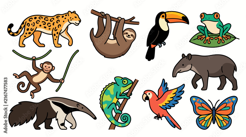 Fototapeta premium Rainforest Wildlife Minimalist Vector Collection