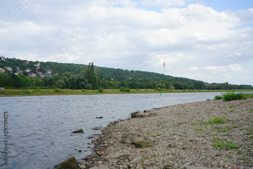 Die Elbe in Dresden mit niedrigem Wasserstand