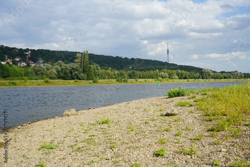 Die Elbe in Dresden mit niedrigem Wasserstand