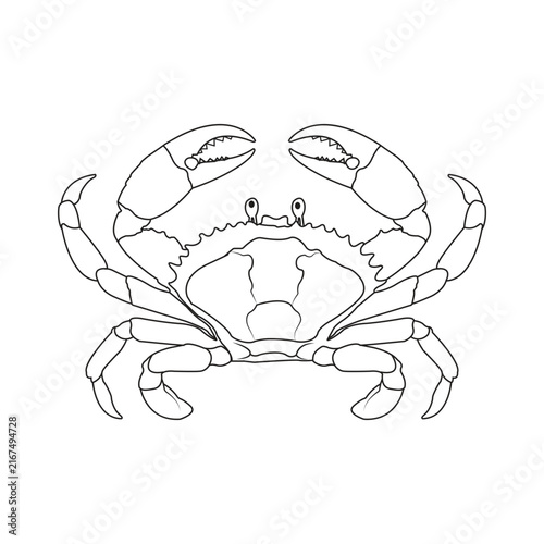 Black and White Crab Illustration