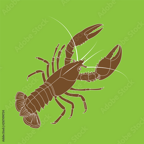 Vintage Lobster Illustration on Green Background