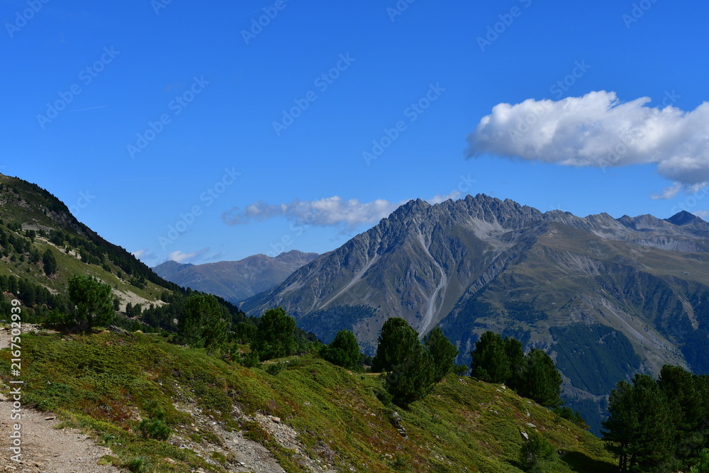 Obraz premium Schöne Landschaft auf der Haideralm in Südtirol 