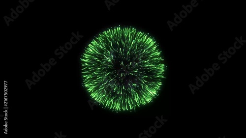 Fireworks exploding with floating rose petals against a bright green screen background for digital compositing with firework explosion surrounded video colorful firework