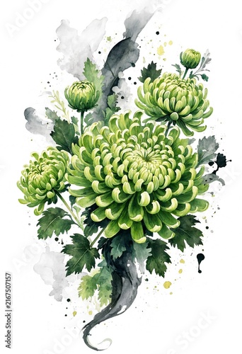 Watercolor Green Chrysanthemums with Abstract Splash Background