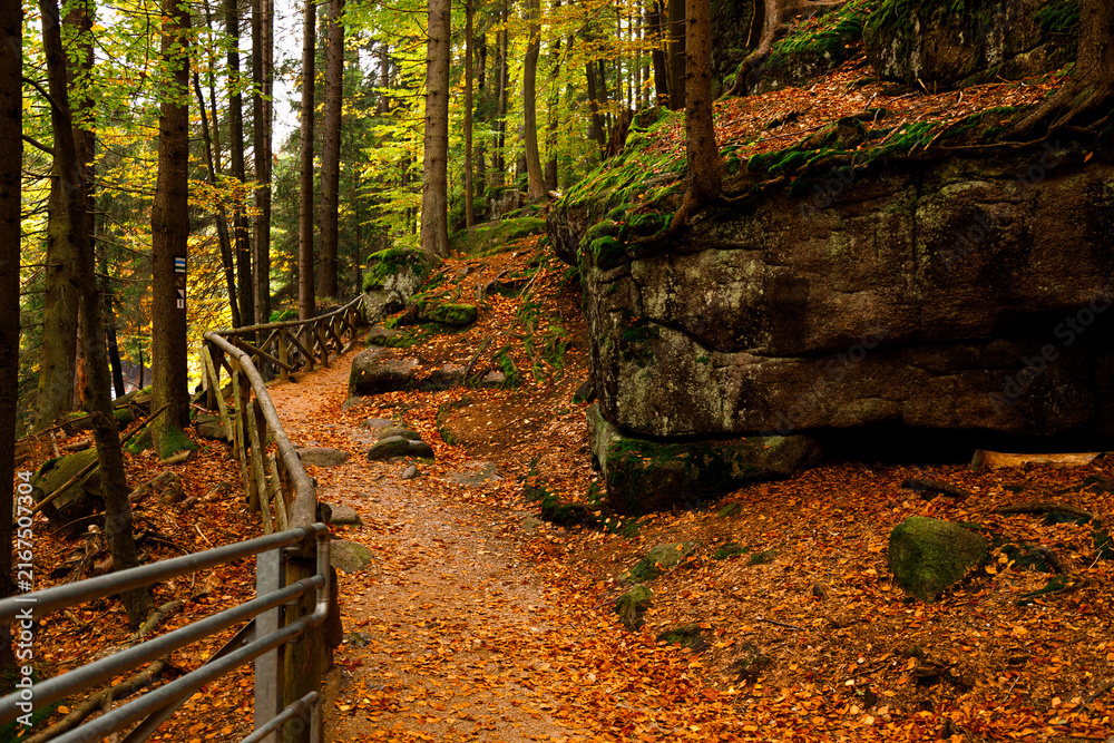 Fototapeta premium Hiking trail. Autumn landscape of a trail in the forest of the Karkonosze Mountain National Park in Poland, Europe.