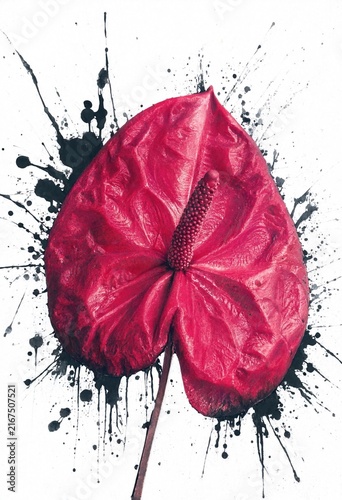 Vibrant Red Anthurium with Black Splatter Art