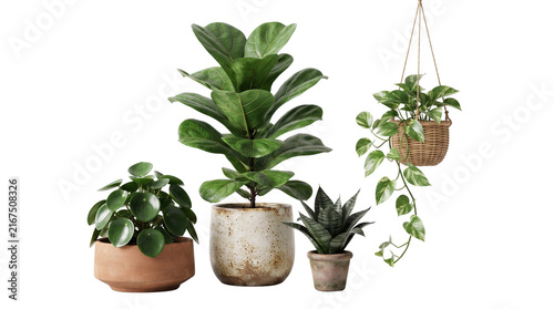 Lush indoor houseplant collection, potted green plants in ceramic and terracotta pots, hanging ivy and fiddle leaf fig for home decor isolated PNG with Transparent Background