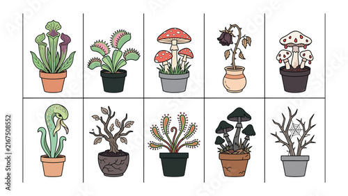 Photography Botanical Oddities: A collection of potted plants, featuring unique and unusual specimens including carnivorous plants, mushrooms, and dry, skeletal flora, displayed in a grid formation