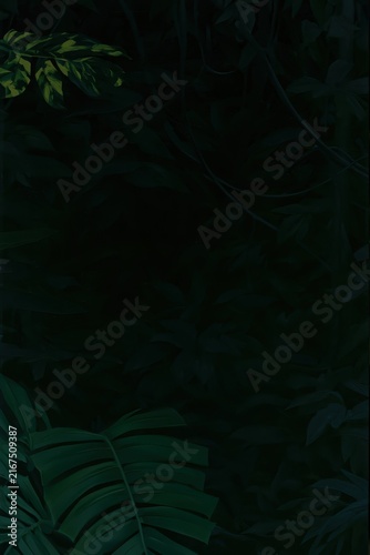 Lush green tropical leaves emerging from deep dark shadows in a dense rainforest background
