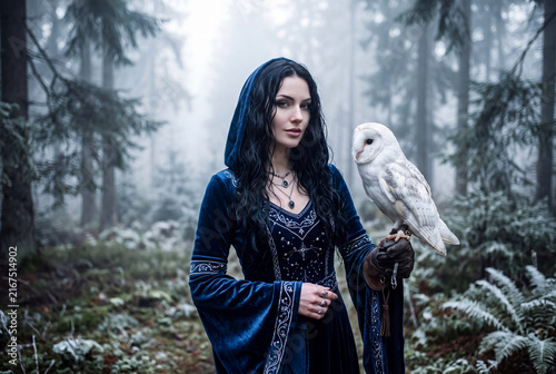 A mysterious sorceress in a blue velvet dress holding a white owl in a foggy forest