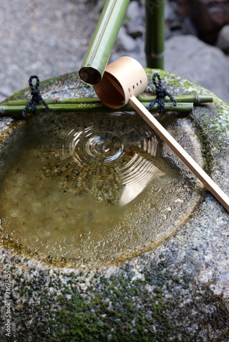 Fotografía 筧　薄氷　手水　手水鉢　青竹　茶道