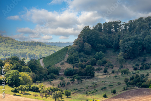 Lush rolling hills with vineyards, orchards, and forest under a partly cloudy sky.

