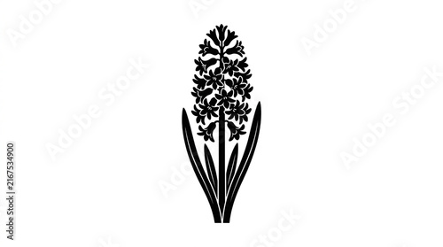 Black and white vector illustration of a single blooming hyacinth flower with green foliage with minimalist graphic hyacinth silhouette isolated