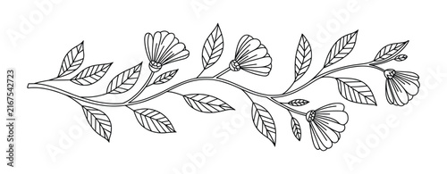 A delicate black and white illustration of a flowering vine with detailed leaves and blooms extending horizontally across the frame creating a botanical border effect
