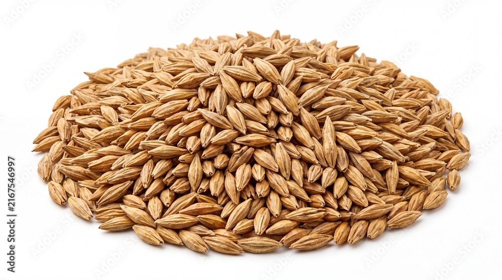Fototapeta premium Pile of raw organic golden barley grains showcasing detailed texture and natural harvest quality captured in high resolution on white background