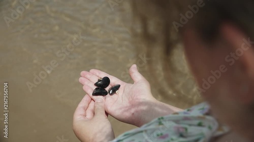 Woman looks at black mussel shells on palm at seaside. Person observes marine mollusks in wildlife on seashore, over the shoulder.