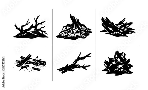 Rustic Wood Branch Collection, Natural Organic Driftwood Elements, Textured Forest Debris Vector Set for Nature Designs