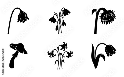 Set of 6 Black Silhouette Icons: Wilted Flowers and Mushroom, Botanical Vector Graphics for Nature and Decay Themes