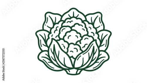 Cauliflower Outline Vector Illustration