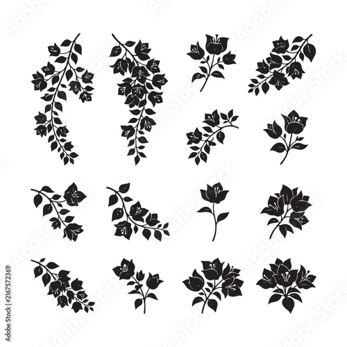 Black silhouette of blooming bougainvillea branch with flowers isolated on white