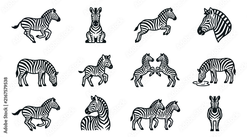 Naklejka premium Collection of black and white zebra character illustrations