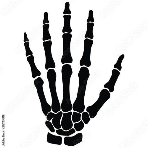 Skeleton hand vector silhouette illustration bony human palm line art graphic design.