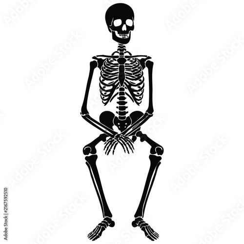 Skeleton vector silhouette illustration full body black human bones line art design.