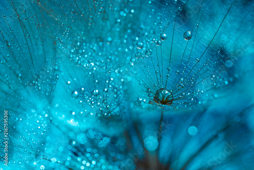 Extreme macro abstract close-up of cyan dandelion seeds with water drops for digital wallpaper, modern background design, and textile pattern texture