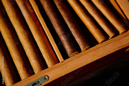 Konstfotografi Premium Cigars Arranged in a Wooden Humidor Box