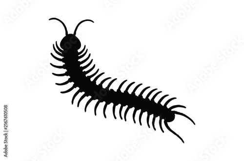Centipede silhouette vector, Crawling insect black silhouette vector
