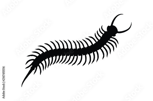 Centipede silhouette vector, Crawling insect black silhouette vector