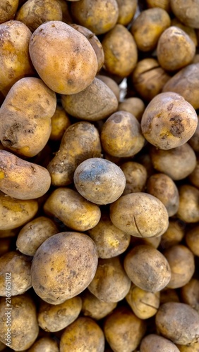 Pile of unpeeled fresh raw potatoes texture background