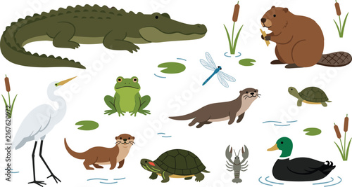 Cute Swamp and River Animal Set featuring Alligator, Beaver, Heron, Frog, Otter, Duck, and Turtle for Kids Education Designs Vector Illustration