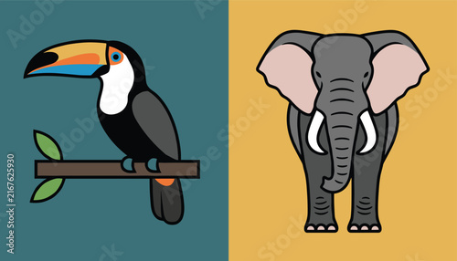 Colorful wildlife illustration shows a toucan perched on a branch next to a large forward-facing grey elephant.