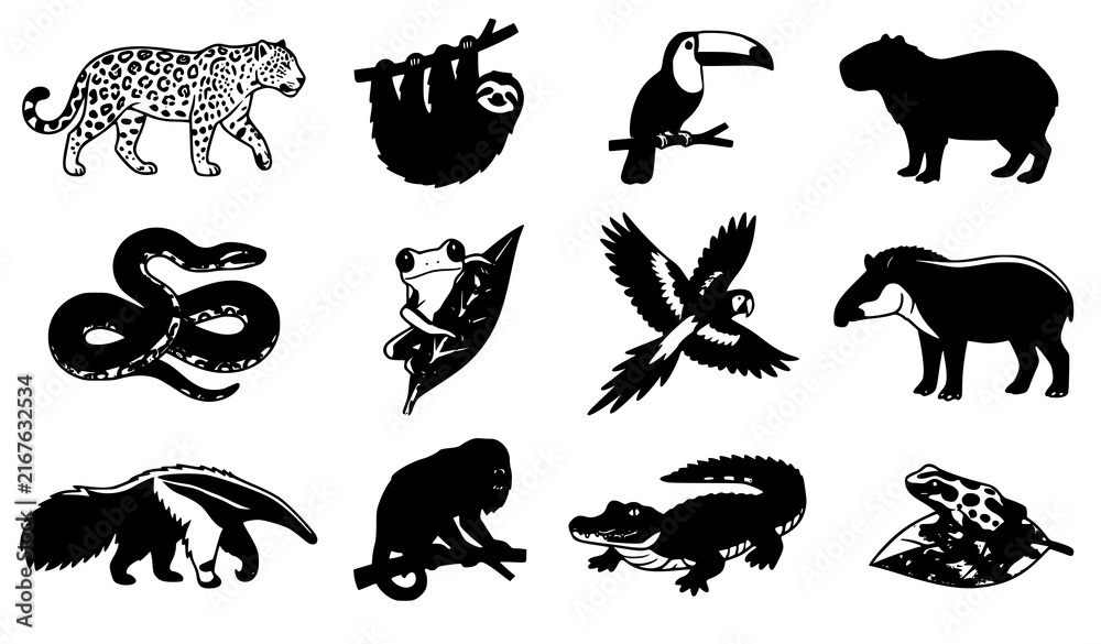 Obraz premium South American rainforest animals vector set with jaguar sloth toucan capybara monkey and macaw
