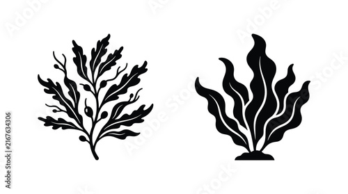 Foto Black silhouettes of seaweed plants against a white background