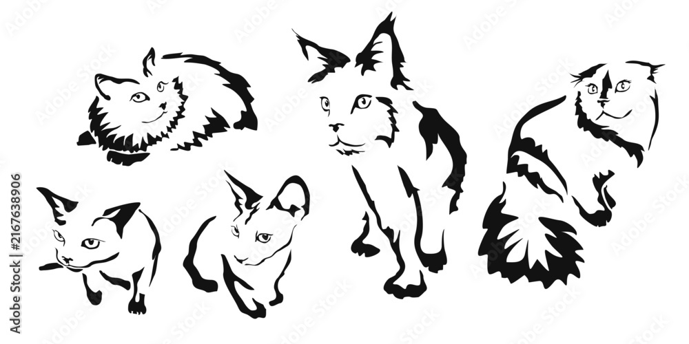 Fototapeta premium Vector drawing of a cat. Black and white gestalt design of a funny pet. Little kitty. Cute animal illustration. Postcard for International Cat Day. Drawing of an animal in the Gestalt style.