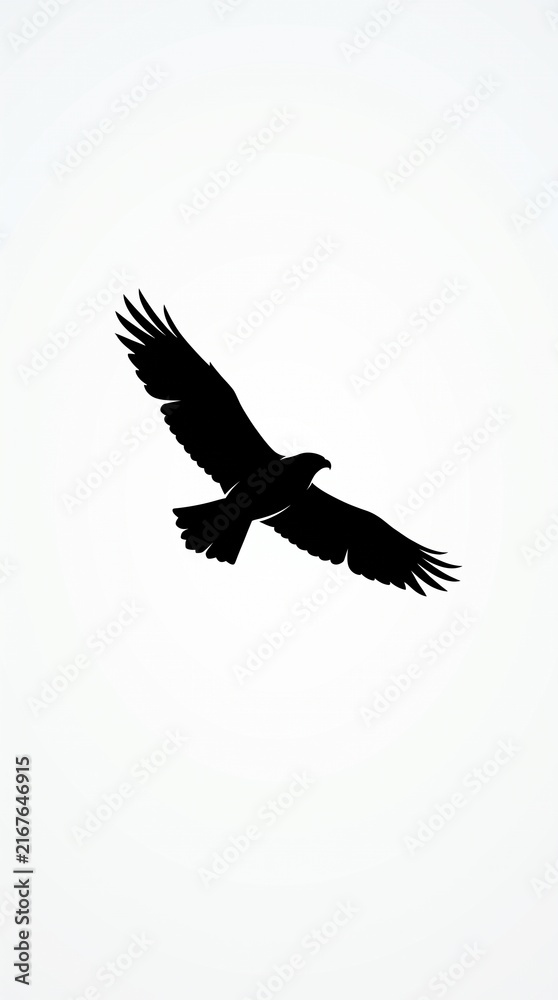 Fototapeta premium Silhouette of a soaring bird in flight against a pale sky with expansive calm.