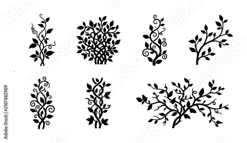 Elegant Botanical Vector Elements, Swirling Vines & Leafy Sprigs, Decorative Flourishes for Design