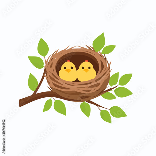 Nid d’oiseaux avec oisillons sur branche feuillue