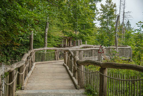 Wooden footbridge through the forest in Kermeter, Eifel, Germany