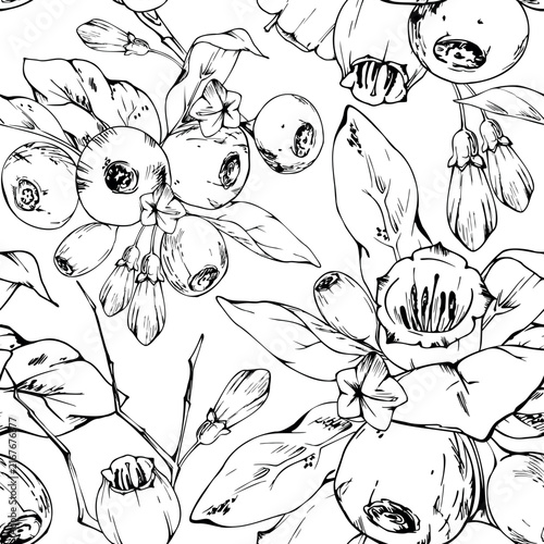 Flowering berry shrubs, bell-shaped blossoms, ripe fruits, leafy forest growth of huckleberry, bilberry, blueberry and whortleberry. Isolated botanical seamless pattern hand drawn in vector ink.