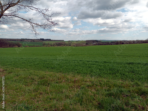 Agricultural landscape between Dill and Laufersweiler in the Hunsrück region, Germany