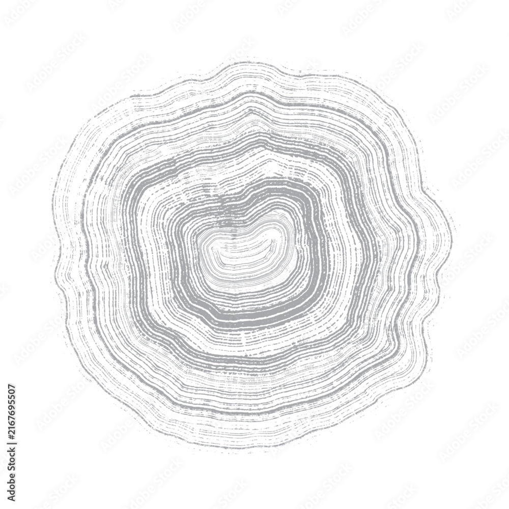 Fototapeta premium Cross Section of Tree Vector Stump Slice With Age Rings Isolated on White Background.. Grunge Wood Texture With Concentric Rings, Template. Grey Tree Ring Pattern, Wood grain. Stamp of Tree Trunk.