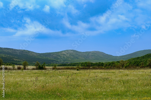 Cuadro en lienzo A picturesque summer landscape with a green field of flowers, hills, and a cloudy sky