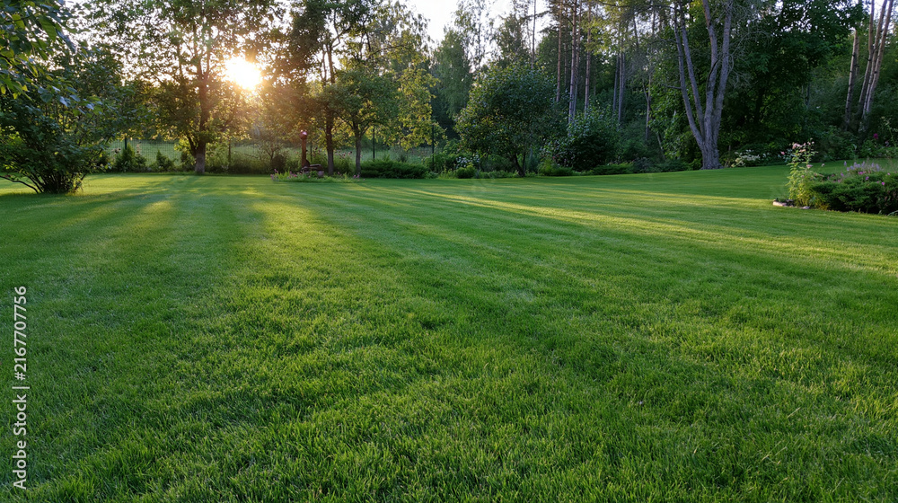 Obraz premium A freshly mowed green lawn glowing in the golden afternoon sunlight filtering through trees. Ideal for landscaping and real estate concepts.