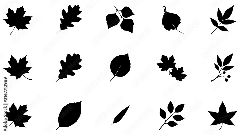 Obraz premium Set of black leaf silhouettes featuring various tree foliage shapes and nature plant icons