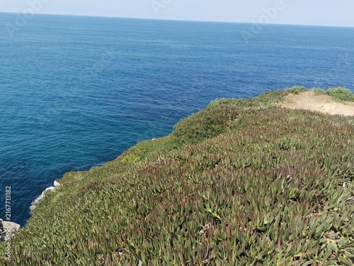 paesaggio marino